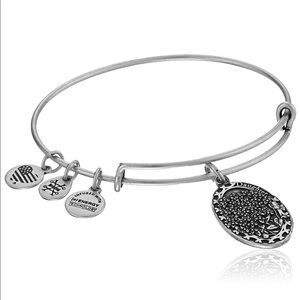 Alex And Ani “Daughter” charm bracelet. Brand NEW!